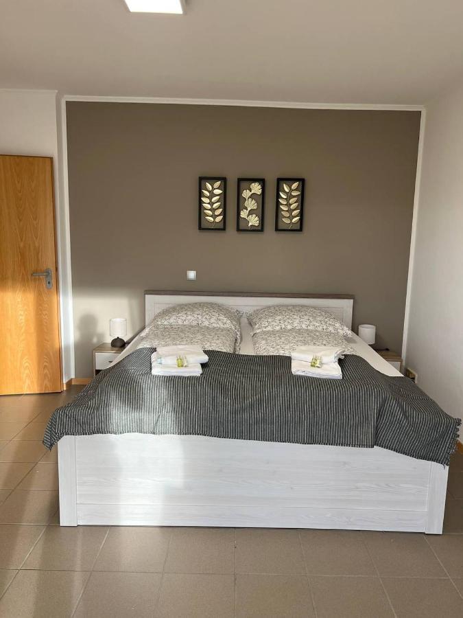Sunset Apartment Mit Rheinblick In Urbar Urbar  المظهر الخارجي الصورة
